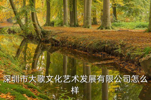 深圳市大歌文化藝術(shù)發(fā)展有限公司怎么樣