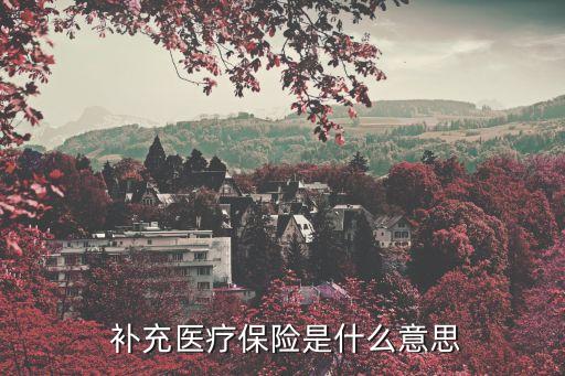  補(bǔ)充醫(yī)療保險(xiǎn)是什么意思