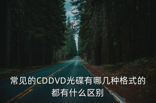 一級(jí)碟片