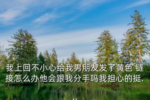 我上回不小心給我男朋友發(fā)了黃色 鏈接怎么辦他會跟我分手嗎我擔(dān)心的挺...