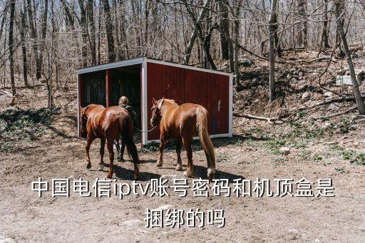 中國捆綁