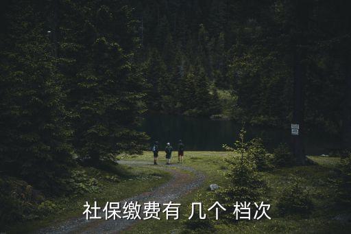 社保繳費有 幾個 檔次