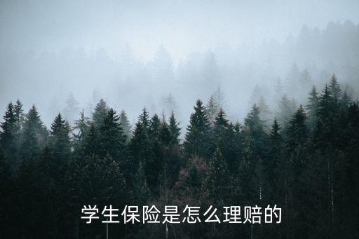 學(xué)生保險(xiǎn)