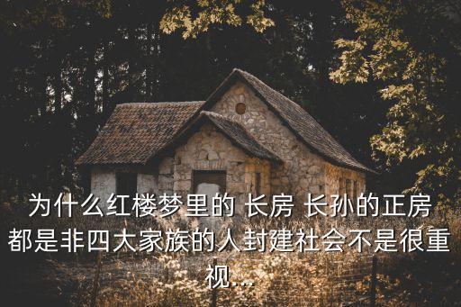 為什么紅樓夢(mèng)里的 長(zhǎng)房 長(zhǎng)孫的正房都是非四大家族的人封建社會(huì)不是很重視...