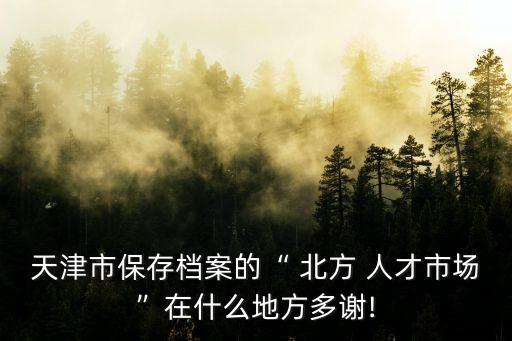 天津市保存檔案的“ 北方 人才市場(chǎng)”在什么地方多謝!