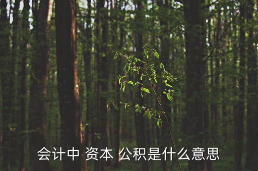 會計中 資本 公積是什么意思