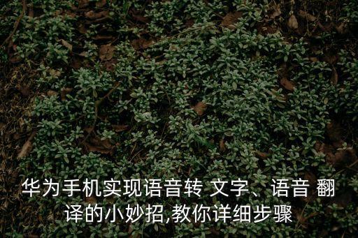 華為手機(jī)實(shí)現(xiàn)語(yǔ)音轉(zhuǎn) 文字、語(yǔ)音 翻譯的小妙招,教你詳細(xì)步驟