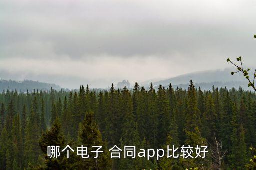 哪個電子 合同app比較好