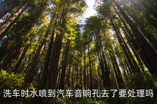 洗車時水噴到汽車音響孔去了要處理嗎