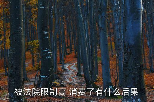 被法院限制高 消費(fèi)了有什么后果