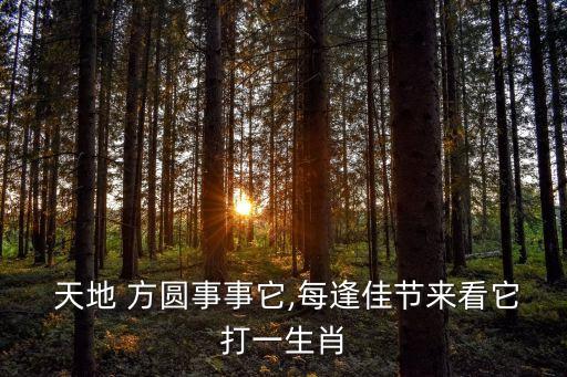  天地 方圓事事它,每逢佳節(jié)來看它打一生肖