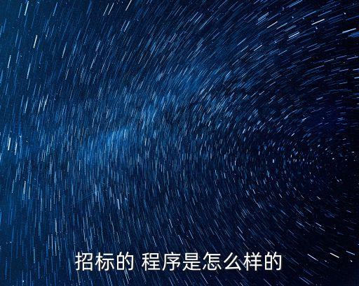 招投標(biāo)需要哪些程序,一般的招投標(biāo)程序包括哪些
