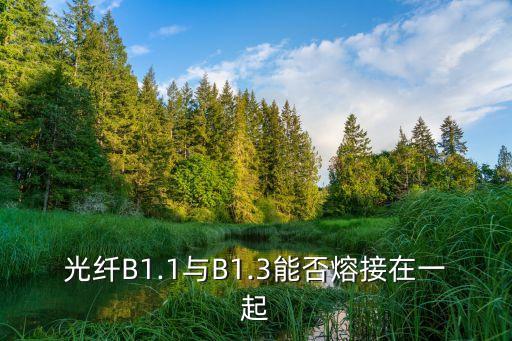 干b網(wǎng)