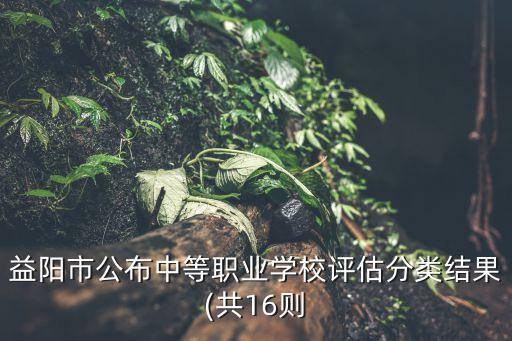 益陽市公布中等職業(yè)學(xué)校評(píng)估分類結(jié)果(共16則