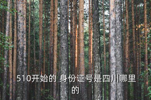 身份證510