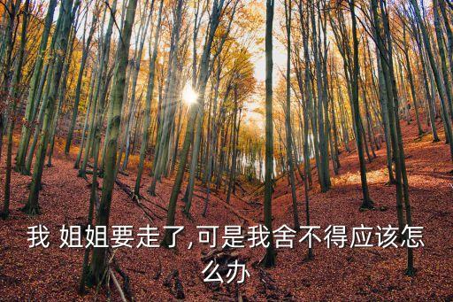 姐姐走了
