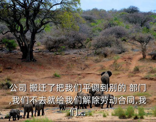 公司 搬遷了把我們平調(diào)到別的 部門(mén),我們不去就給我們解除勞動(dòng)合同,我們...