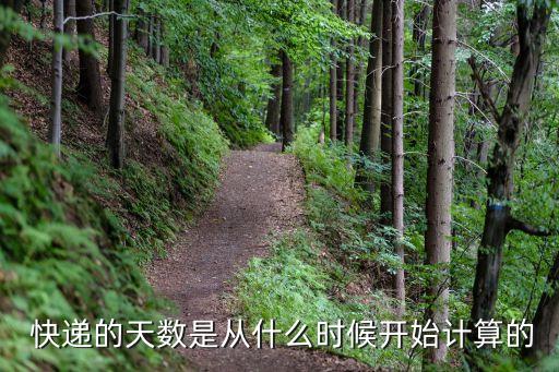 快遞時間估算,順風(fēng)快遞時間估算