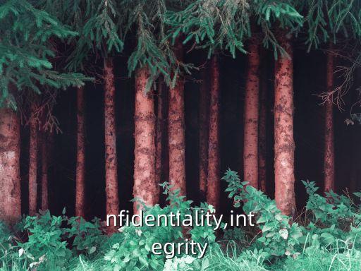 confidentiality,integrity