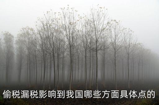 偷稅漏稅影響到我國哪些方面具體點的