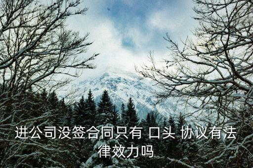 民法典口頭協(xié)議,民事糾紛口頭協(xié)議有法律效力嗎
