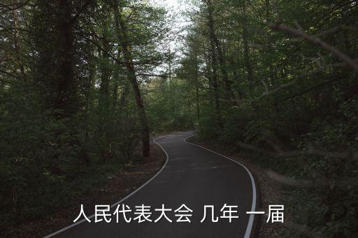 一屆是幾年,政府官員一屆是幾年