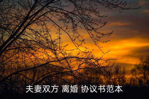 雙方同意離婚協(xié)議書(shū)怎么寫(xiě),離婚協(xié)議書(shū)可以撤銷(xiāo)嗎雙方同意