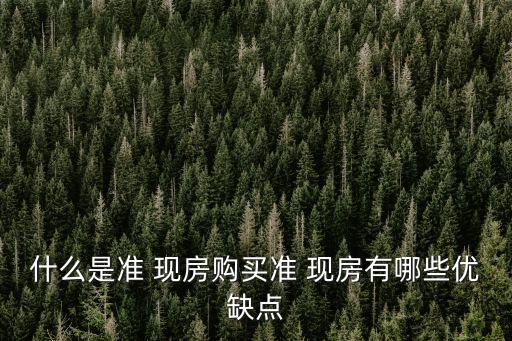 準(zhǔn)現(xiàn)房