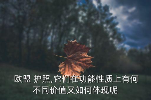  歐盟 護(hù)照,它們在功能性質(zhì)上有何不同價值又如何體現(xiàn)呢