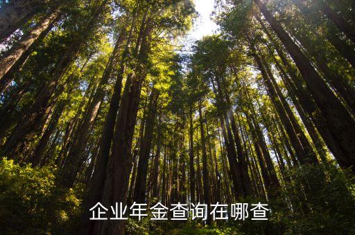 怎么查企業(yè)年金,工商銀行手機(jī)銀行怎么查企業(yè)年金