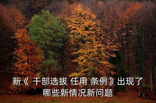 干部任用條例