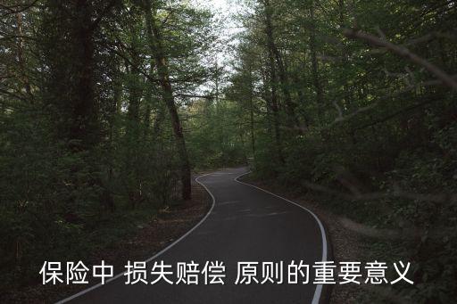 保險中 損失賠償 原則的重要意義