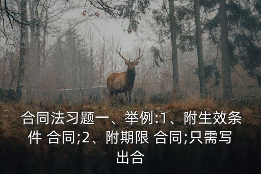 合同效力問題的題目,合同題目錯(cuò)誤影響合同效力嗎