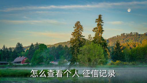 人行征信報(bào)告