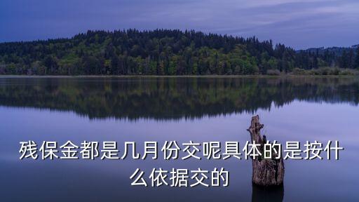  殘保金都是幾月份交呢具體的是按什么依據(jù)交的