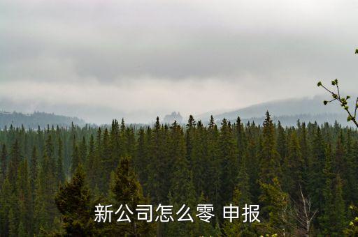 零申報流程,個體營業(yè)執(zhí)照零申報流程