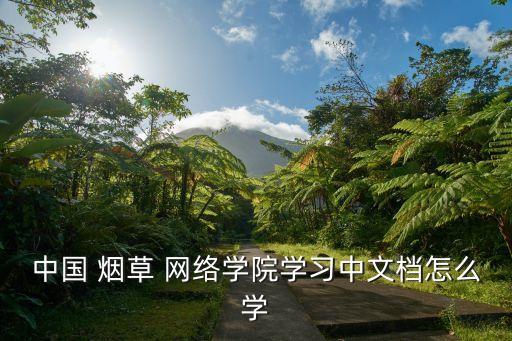 中國 煙草 網(wǎng)絡(luò)學(xué)院學(xué)習(xí)中文檔怎么學(xué)