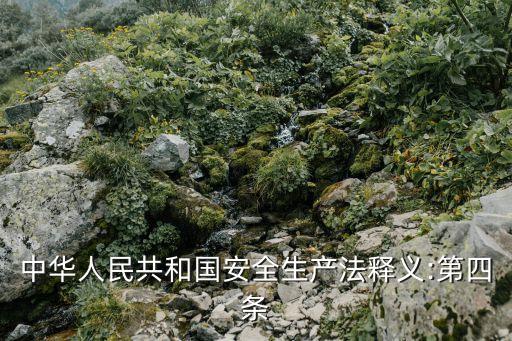 中華人民共和國安全生產(chǎn)法釋義:第四條