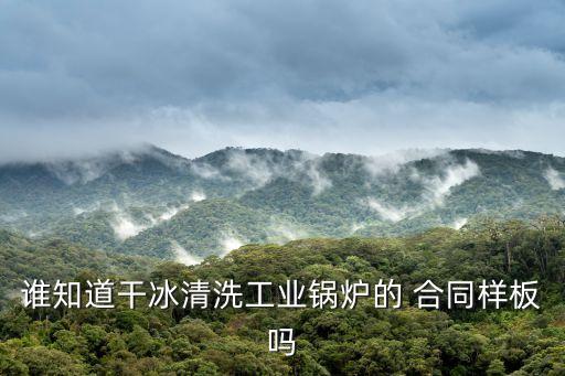簡單的洗滌合同,洗滌服務(wù)合同印花稅