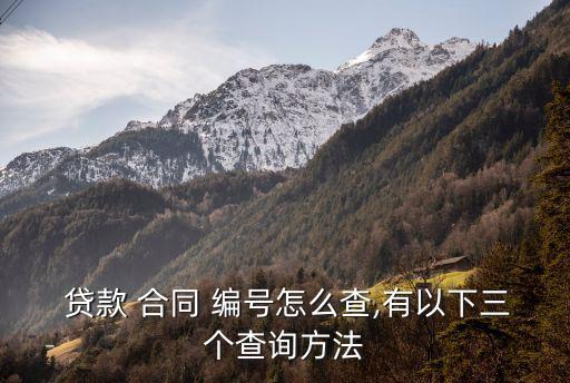 貸款 合同 編號怎么查,有以下三個查詢方法