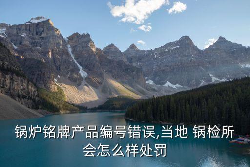 鍋爐銘牌產(chǎn)品編號錯誤,當(dāng)?shù)?鍋檢所會怎么樣處罰