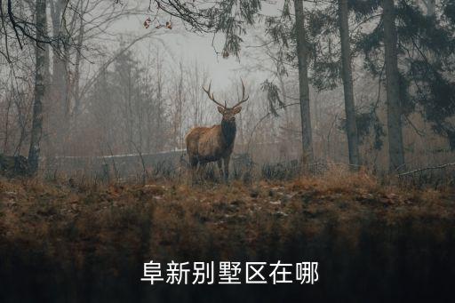 阜新在哪