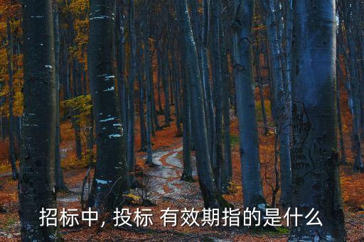 招標(biāo)中, 投標(biāo) 有效期指的是什么