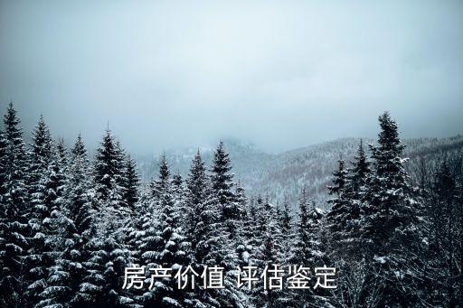房產(chǎn)價(jià)值 評(píng)估鑒定