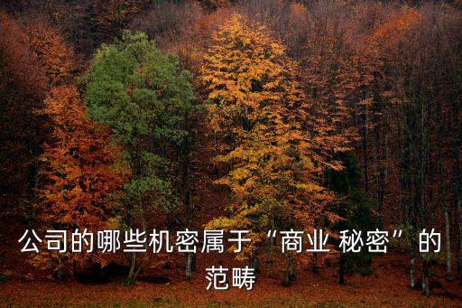 公司的哪些機(jī)密屬于“商業(yè) 秘密”的范疇