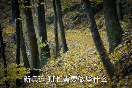 新兵連 班長需要做些什么