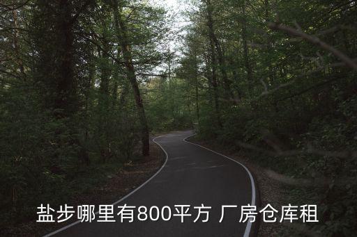 鹽步哪里有800平方 廠房倉庫租