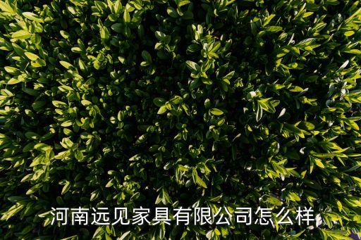  河南遠(yuǎn)見(jiàn)家具有限公司怎么樣