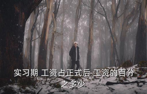  實(shí)習(xí)期 工資占正式后 工資的百分之多少