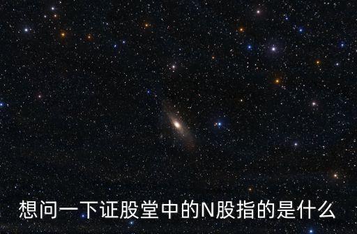 想問一下證股堂中的N股指的是什么